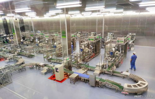 全國(guó)綠色食品三產(chǎn)融合發(fā)展園落戶大連鹽化集團(tuán) 探索地產(chǎn)開(kāi)發(fā)新模式